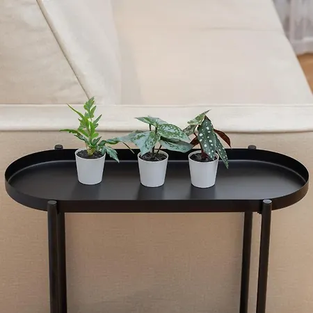 דירה Apartment Gdynia